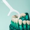 Mint Dental Floss Picks